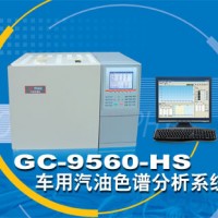 汽油含氧化合物專用色譜儀