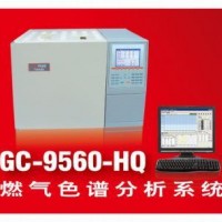 燃?xì)馍V分析系統(tǒng)
