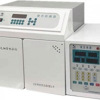 高效毛細(xì)管電泳儀（紫外檢測器）1030X