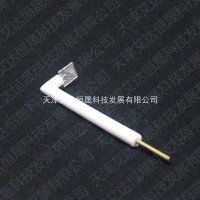 L型鉑網(wǎng)電極