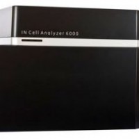 激光共聚焦成像分析系統(tǒng)IN Cell Analyzer 6000