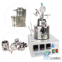 五洲鼎創(chuàng)-D250 高溫高壓電化學(xué)反釜