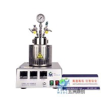 鼎創(chuàng)直銷 WZC磁力反應(yīng)釜