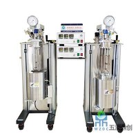 五洲鼎創(chuàng) WZM 機械攪拌平行高壓反應釜