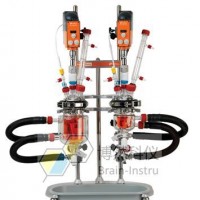 Radleys Reactor Ready Duo反應(yīng)釜