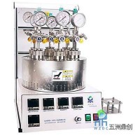 五洲鼎WZDS高壓平行反應(yīng)釜
