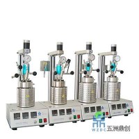 五洲鼎創(chuàng) WZCM 平行反應釜