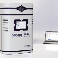 蒸氣吸附儀Steam1010
