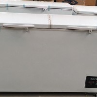 DE低溫試驗(yàn)箱