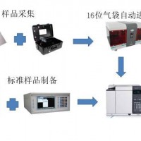甲烷非甲烷總烴自動進樣解決方案