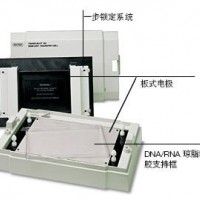 美國(guó)Bio-Rad 伯樂(lè)Trans-Blot SD 170-3940 通用型半干轉(zhuǎn)印槽