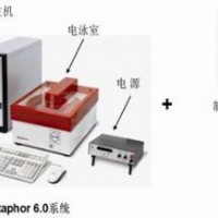 脈沖場(chǎng)電泳