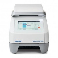Eppendorf Mastercycler X50 梯度PCR儀