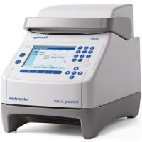 Eppendorf Mastercycler nexus PCR儀