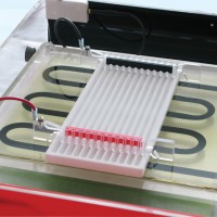英國Cleaver)蛋白質(zhì)雙向電泳系統(tǒng)等電聚焦與第二維電泳-CSL-IEF-KIT-MAXIPLUS