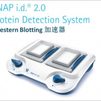 SNAP i.d. Western Blotting加速器