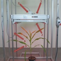 FluorCam大型葉綠素?zé)晒獬上衿脚_