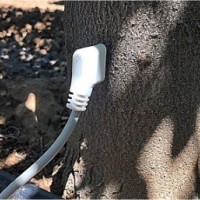 HPV 植物莖流傳感器/植物液流計
