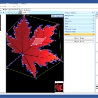 LeafAnalysis專業(yè)葉片分析軟件