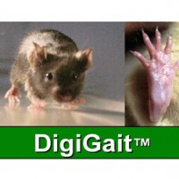 DigiGaitTM嚙齒動(dòng)物步態(tài)分析系統(tǒng)