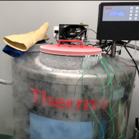 THERMO氣相液氮罐CryoExtra8140（CE8140）