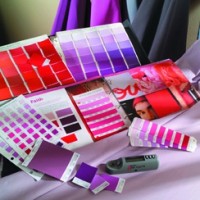 PANTONE  紡織品色卡