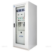 在線氣體分析系統(tǒng)Gasboard-9031