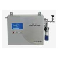 XLZ---1090新能源氣體分析儀