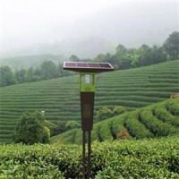 風(fēng)吸式茶園殺蟲燈