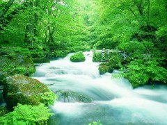 2.89億地表水國控斷面采集服務(wù)項目花落京誠、科邦等檢測單位