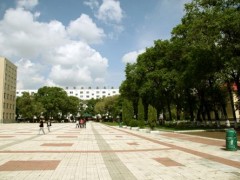 黑龍江九百余萬預算購置液相色譜、基因擴增儀等分析儀器