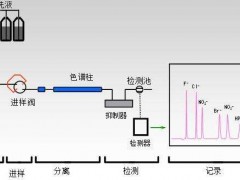 HJ1050-2019《水質(zhì)氯酸鹽、亞氯酸鹽、溴酸鹽、二氯乙酸和三氯乙酸的測(cè)定離子色譜法》發(fā)布