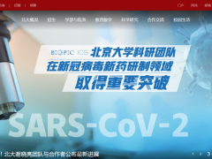北京大學(xué)謝曉亮團(tuán)隊(duì):國產(chǎn)新冠肺炎強(qiáng)效藥有望冬季誕生