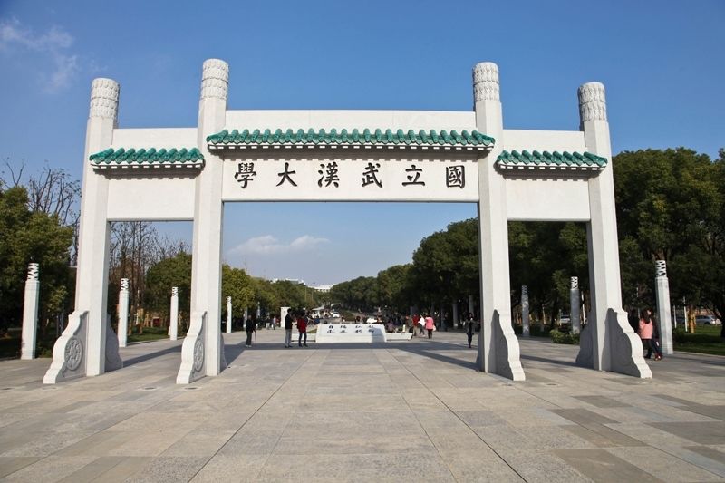 武漢大學(xué)采購拉曼光譜儀等實(shí)驗(yàn)室分析儀器