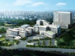 預(yù)算110萬(wàn)元 山東大學(xué)第二醫(yī)院采購(gòu)電泳儀、普通PCR儀等實(shí)驗(yàn)儀器設(shè)備