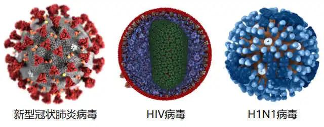 新型冠狀病毒
