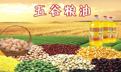 糧食質(zhì)量安全檢驗(yàn)監(jiān)測體系建設(shè)項(xiàng)目儀器設(shè)備采購