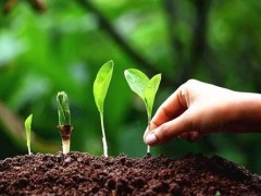 土壤重金屬分析儀器的機(jī)遇來(lái)了 28億土壤污染防治專項(xiàng)資金下發(fā)