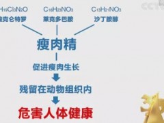 3.15曝出“瘦肉精”問題 液相色譜儀出具克倫特羅的測定方案