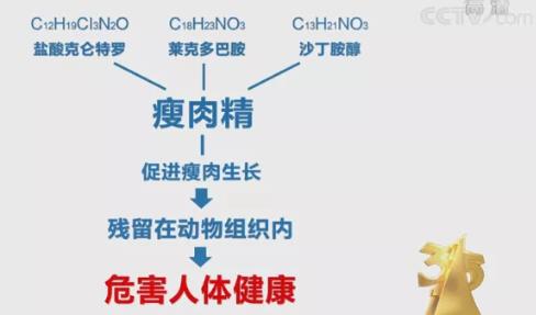 克倫特羅的測定方案