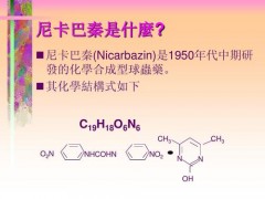 畜肉食品中4,4’-二硝基均二苯脲(DNC)檢測的前處理方案