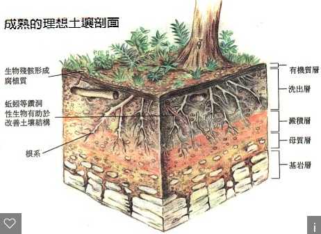 HJ 1184-2021《土壤和沉積物 6種鄰苯二甲酸酯類化合物的測定 氣相色譜-質譜法》