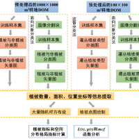 無人機遙感技術(shù)