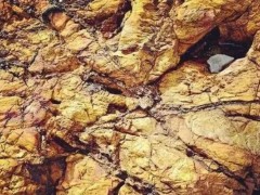北京市礦產(chǎn)地質(zhì)研究所預(yù)算135萬(wàn) 采購(gòu)專用儀器設(shè)備-全自動(dòng)石墨消解儀