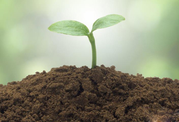 土壤中砷的測(cè)定 HGW-60微波消解儀 AFS-9750原子熒光光度計(jì)