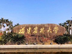 福建農林大學預算148萬元 采購光電效應實驗儀、電子天平等儀器設備
