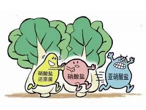 水中亞硝酸鹽的測定 海光儀器HGCF-100型連續(xù)流動分析儀