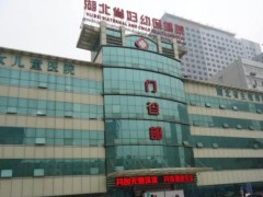 湖北省婦幼保健院預(yù)算260萬 競(jìng)爭(zhēng)性磋商采購液相色譜質(zhì)譜聯(lián)用儀