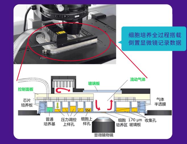 微流控細(xì)胞芯片實(shí)驗(yàn)室CellASIC®ONIX2