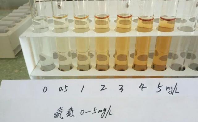 氨氮含量的檢測方法原理